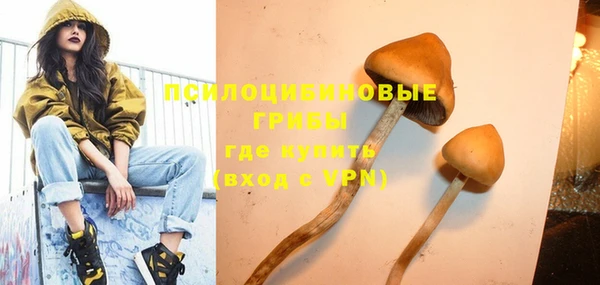 шишки Алексин
