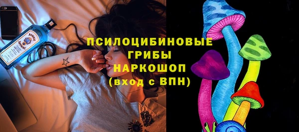 шишки Алексин