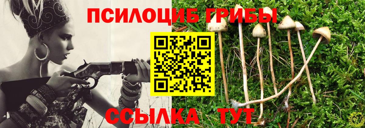 Псилоцибиновые грибы MAGIC MUSHROOMS Нарьян-Мар